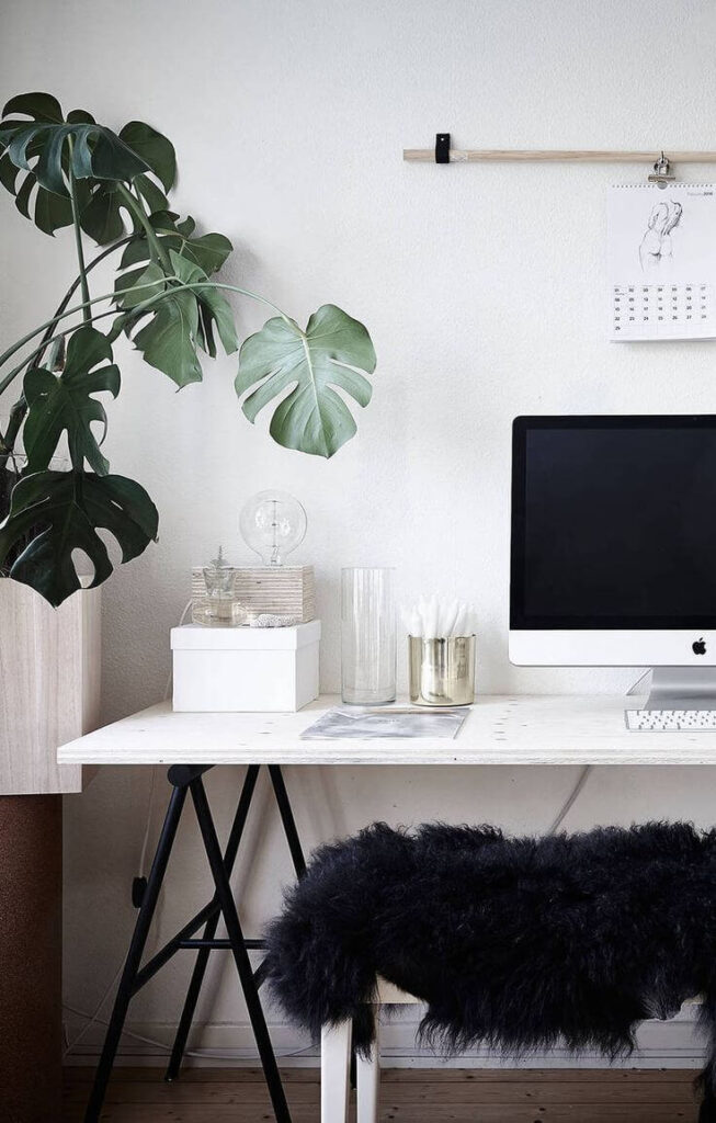 Minimalist home office setup with plant