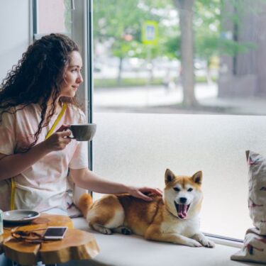 How To Stop A Dog From Barking At Home