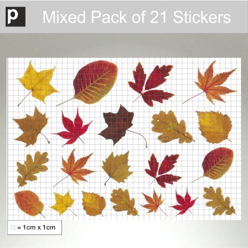 Mixed Pack Of Autumn Leaf Stickers