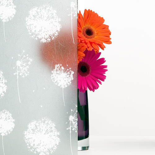 Breeze Decorative Window Film