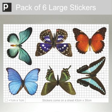 Pack Of Large Photo Realistic Butterflies