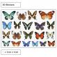 Butterfly Decorative Window Stickers thumbnail 1