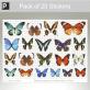 Mixed Pack Of Photo Realistic Butterflies thumbnail 1