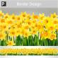 Daffodils Decorative Border Window Sticker thumbnail 2